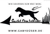 https://www.xn--gabydser-b6a.de/